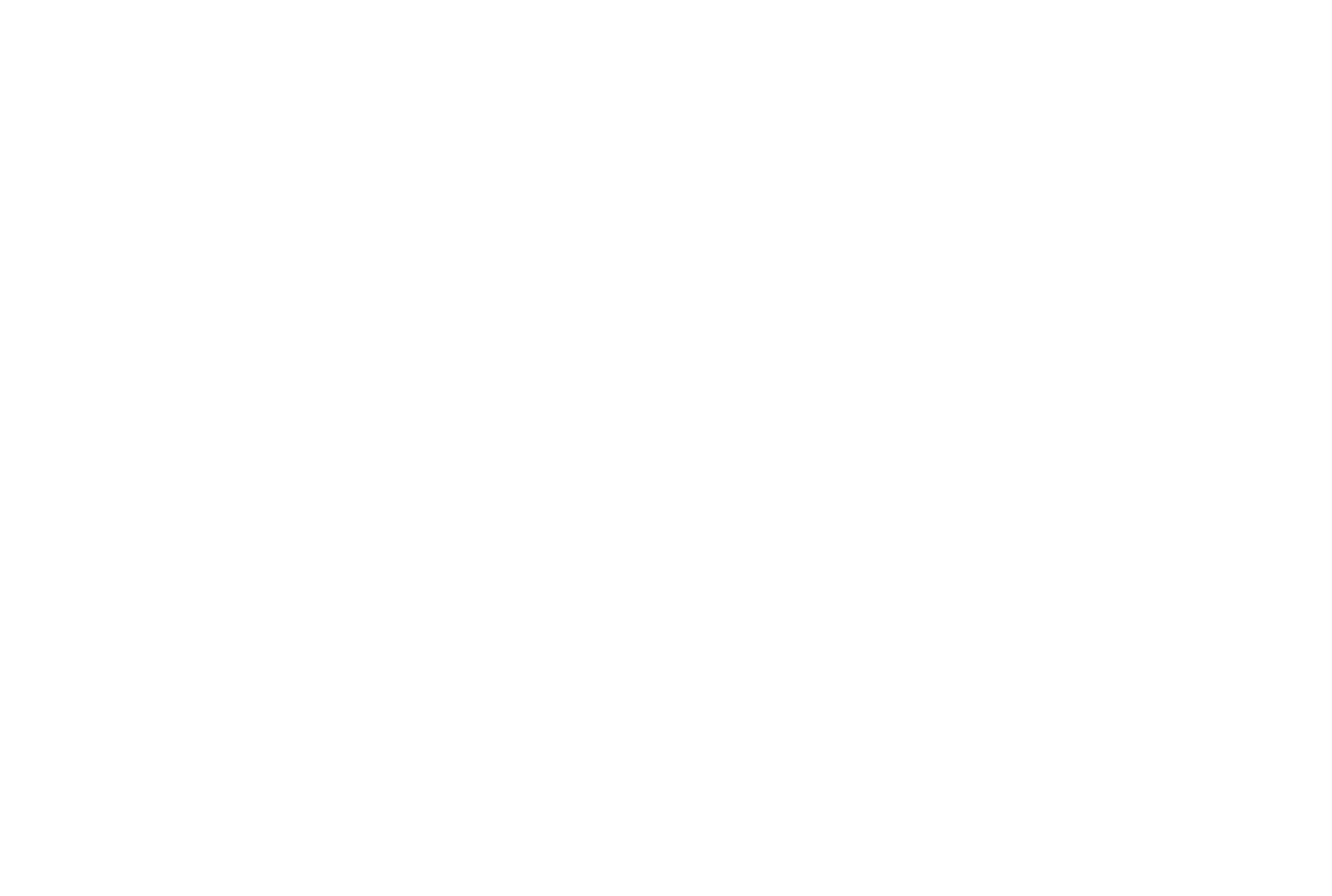 logo desarrollemos chile